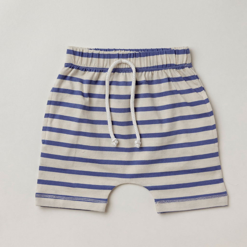 Jack Davis Navy Stripe Shorts