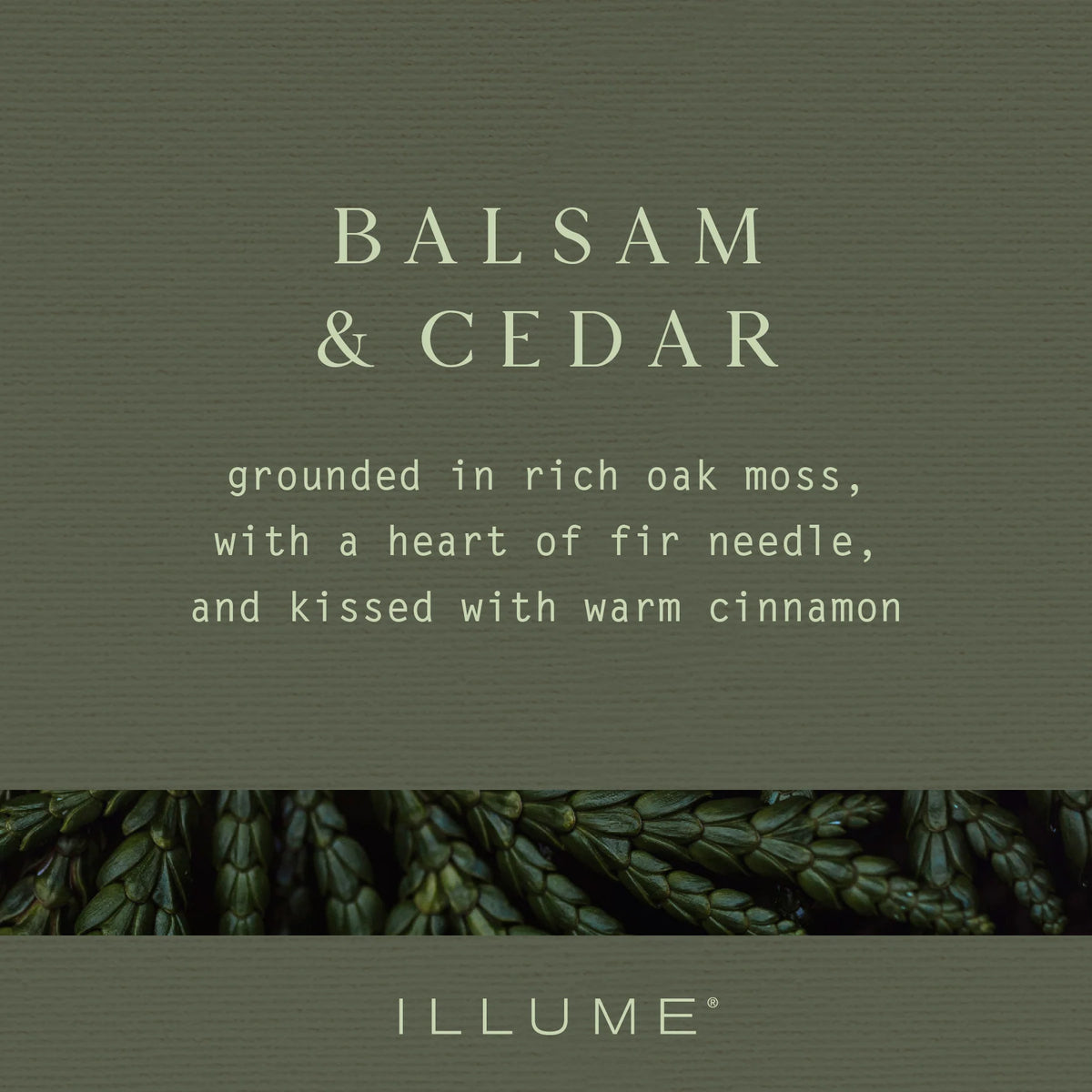 Balsam and Cedar Vanity Tin