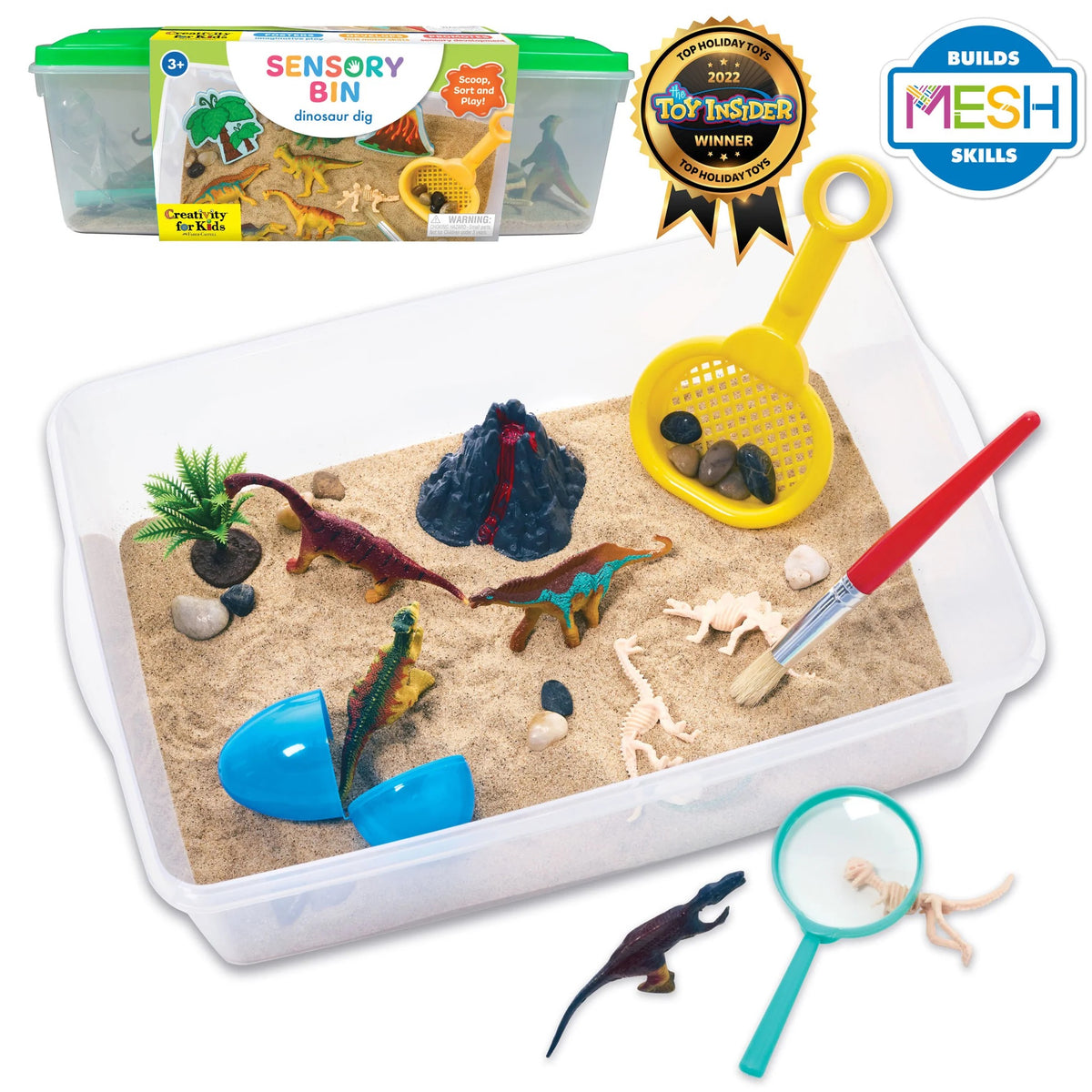 Sensory Activity Bin