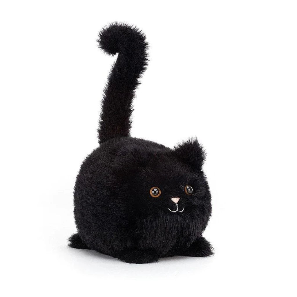 Black Kitten Caboodle
