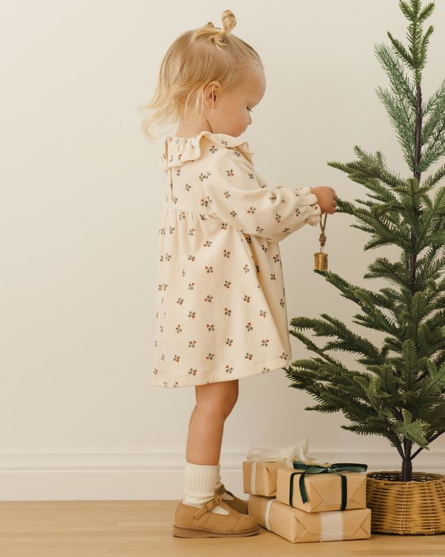 VELOUR BABY DRESS || HOLLY BERRY