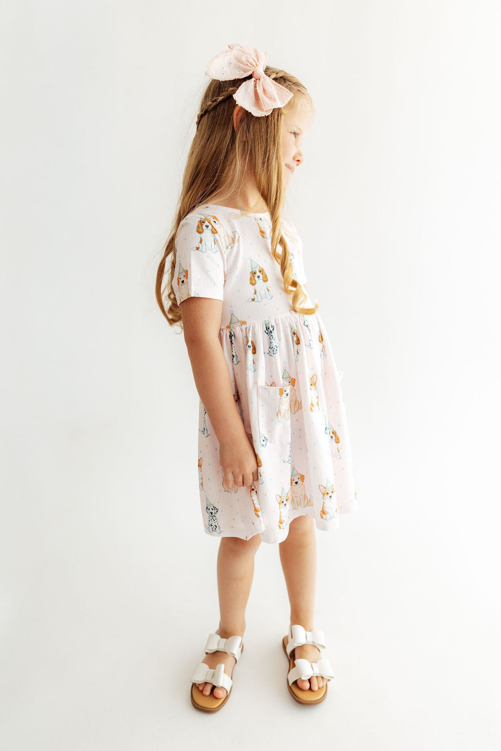 Party Pups SS Pocket Twirl Dress