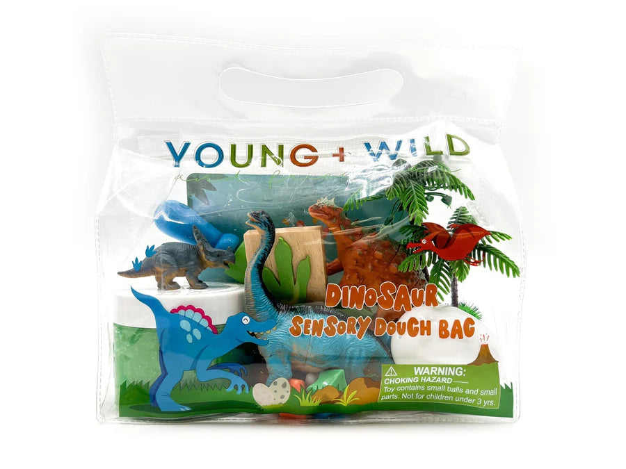 Sensory Dough Bag